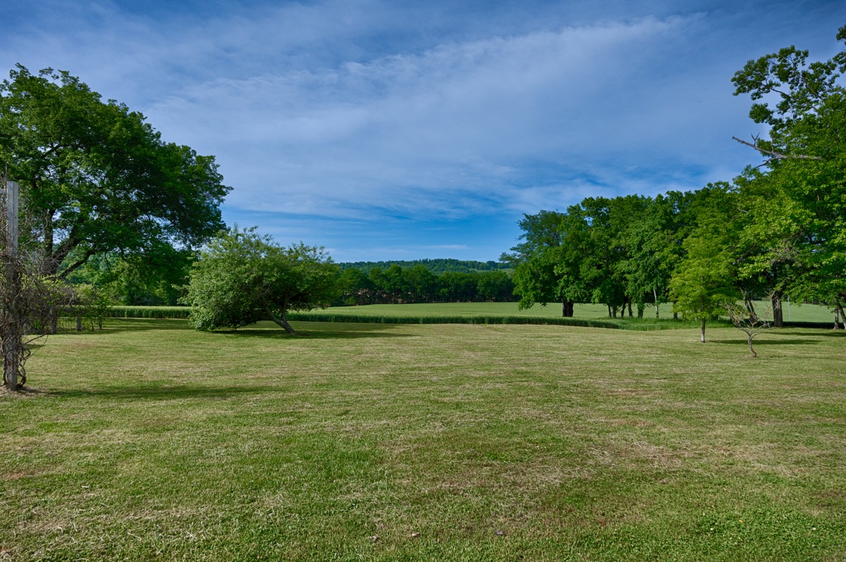 21 Meeting House Road Ardmore, TN 38449 - Photo 38 of 62 a view of a field with trees in the background