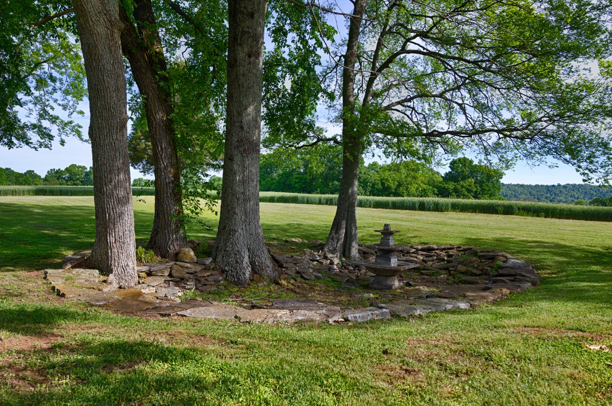 21 Meeting House Road Ardmore, TN 38449 - Photo 50 of 62 a view of a park with a tree