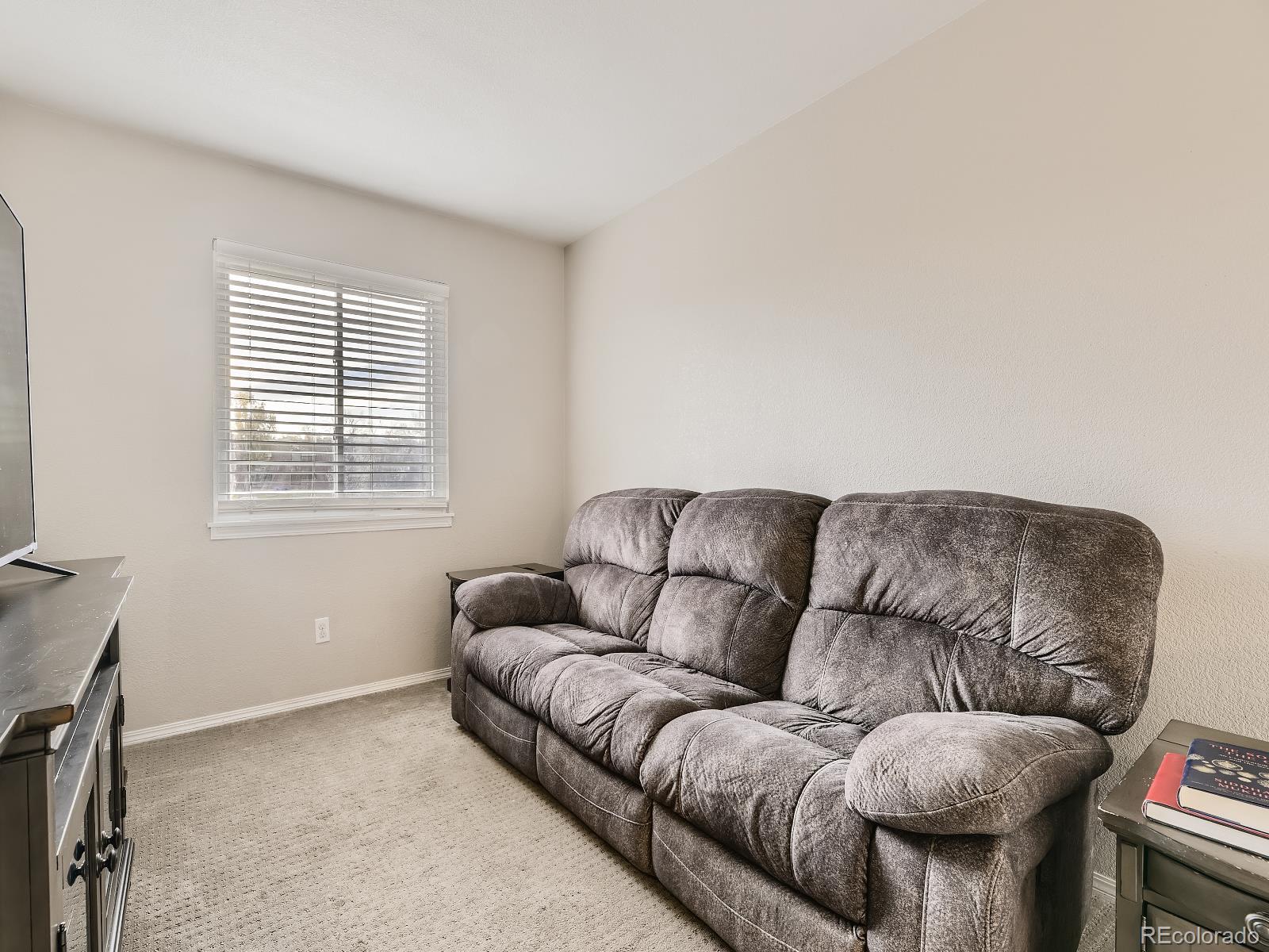 9648 Pendleton Drive Highlands Ranch, CO 80126 - Photo 18 of 36 Gallery Image 18