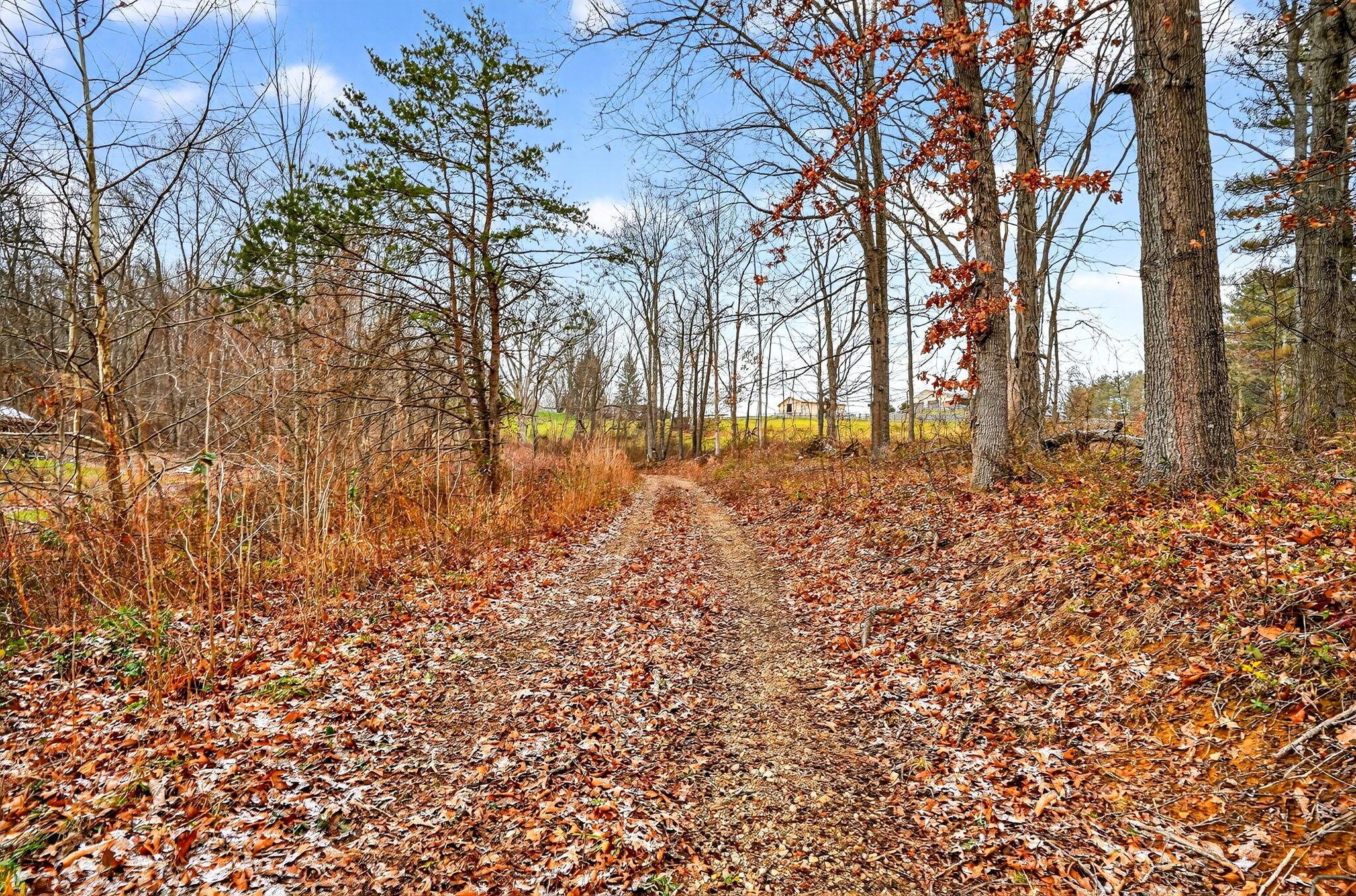 3133 4 Mile Road Jackson, OH 45640 - Photo 8 of 40 7. 3133 Four Mile Rd 41