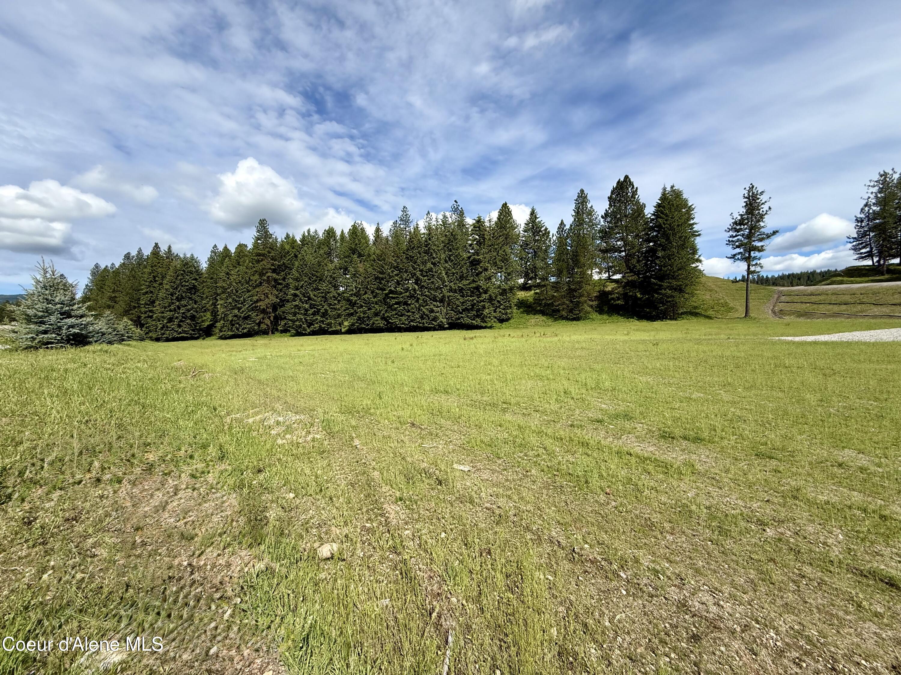 Lot 1 North Stonemason Way Rathdrum, ID 83858 - Photo 5 of 6 Level building area and large trees.