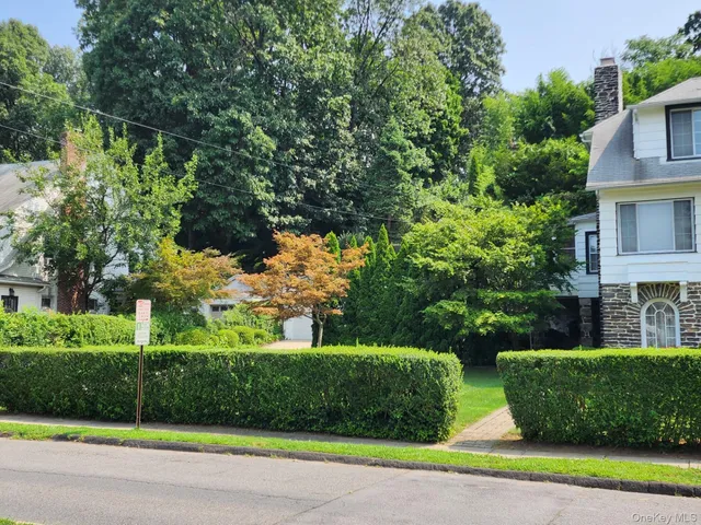 a view of a garden with plants