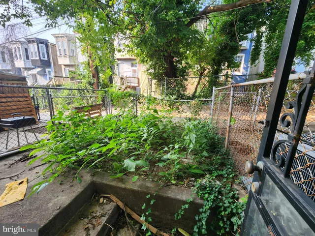 a view of a street with large trees