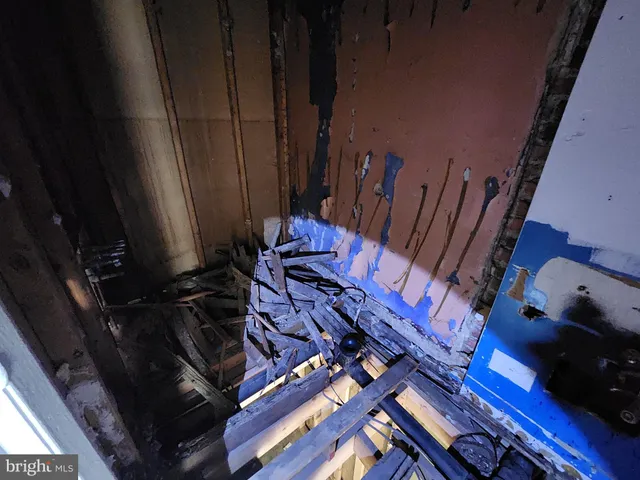 an outdoor view of garden