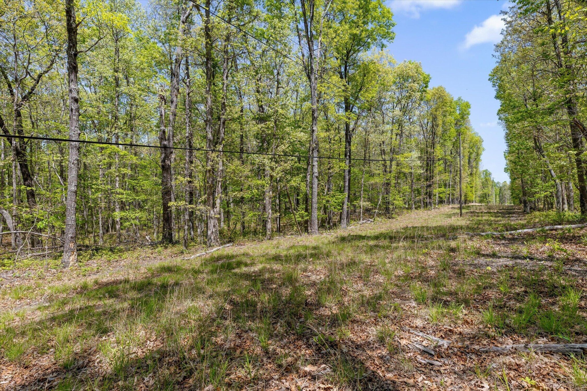 0 Deepwoods Road Sewanee, TN 37375 - Photo 16 of 50