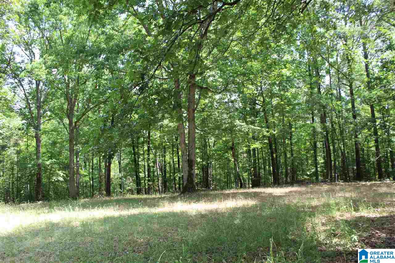 1652 County Road 101 Kellyton, AL 35089 - Photo 21 of 28