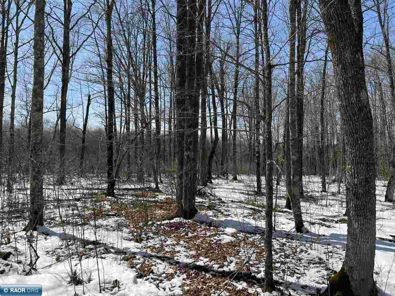 Lot 1 Rippling Oak Ridge River Pengilly, MN 55775 - Photo 7 of 8
