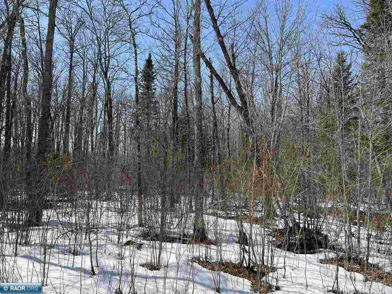 Lot 1 Rippling Oak Ridge River Pengilly, MN 55775 - Photo 8 of 8