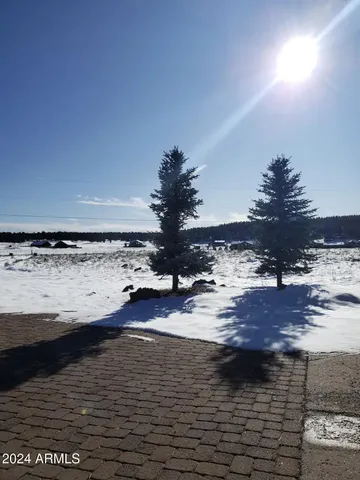 $10,000 | 8950 West Antoinette Way, Flagstaff, AZ 86001