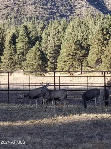 $10,000 | 8950 West Antoinette Way, Flagstaff, AZ 86001