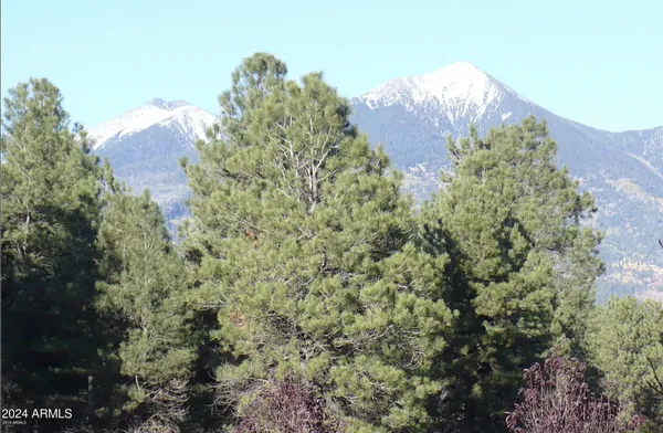 $10,000 | 8950 West Antoinette Way, Flagstaff, AZ 86001