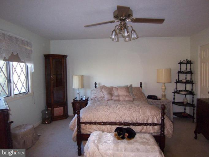 47 Carrollton Road Sterling, VA 20165 - Photo 8 of 14 Master Bedroom #2