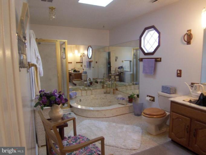 47 Carrollton Road Sterling, VA 20165 - Photo 9 of 14 Master Bath