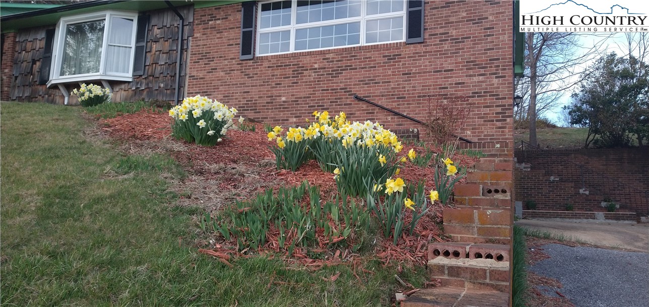 308 Hickory Mountain Road Sparta, NC 28675 - Photo 27 of 29