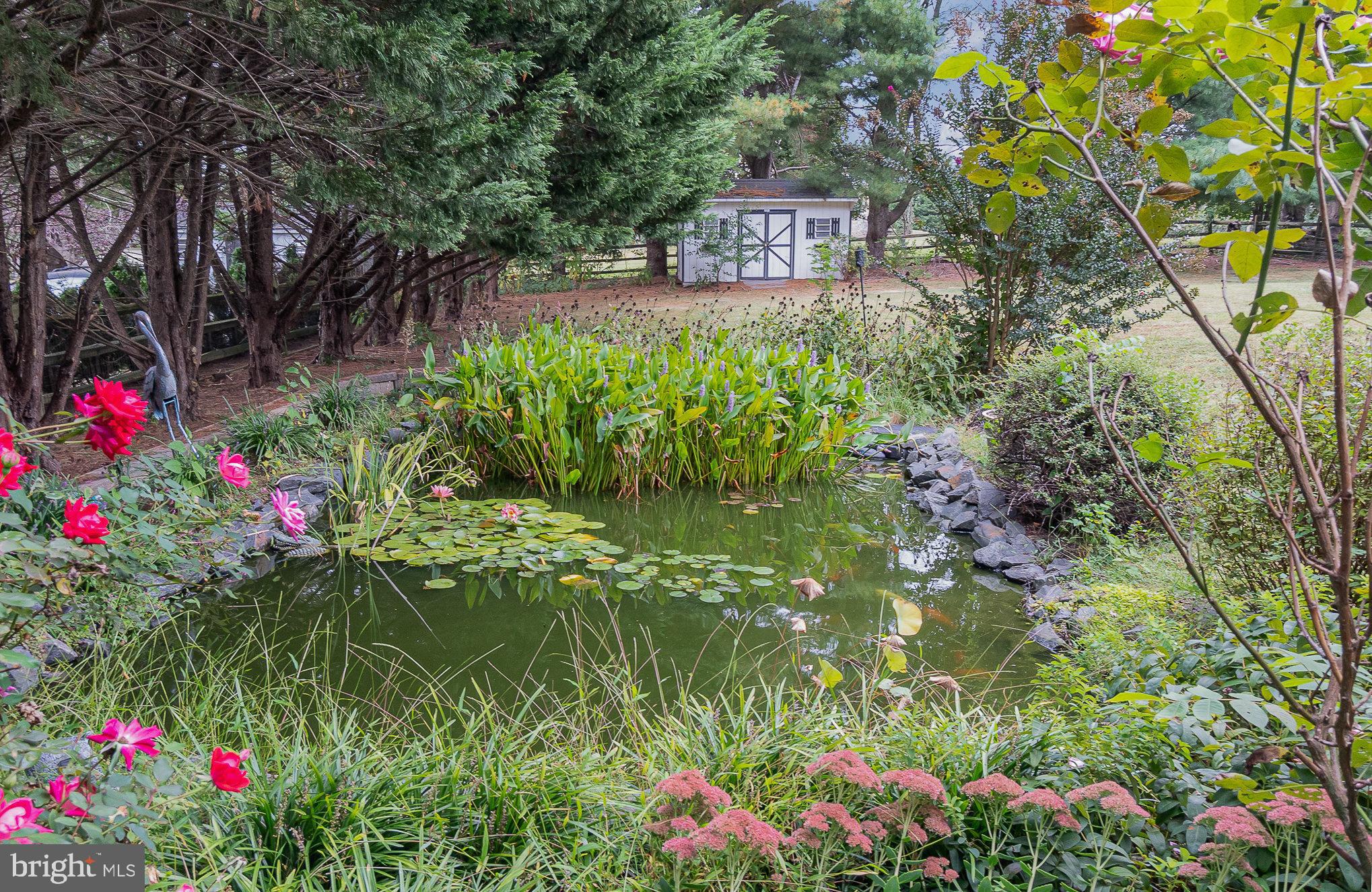 235 Fair Hill Drive Elkton, MD 21921 - Photo 42 of 43 Koi Pond