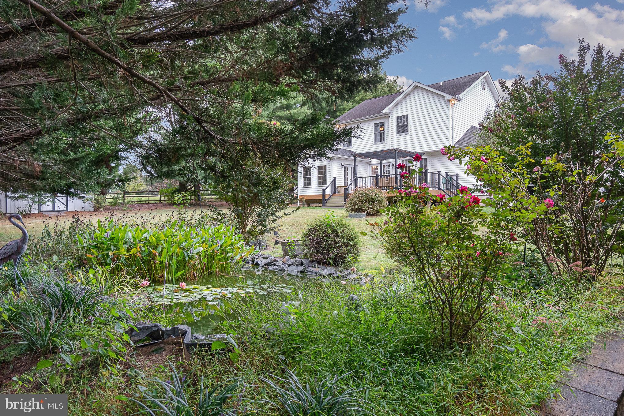235 Fair Hill Drive Elkton, MD 21921 - Photo 43 of 43 Koi Pond on Property