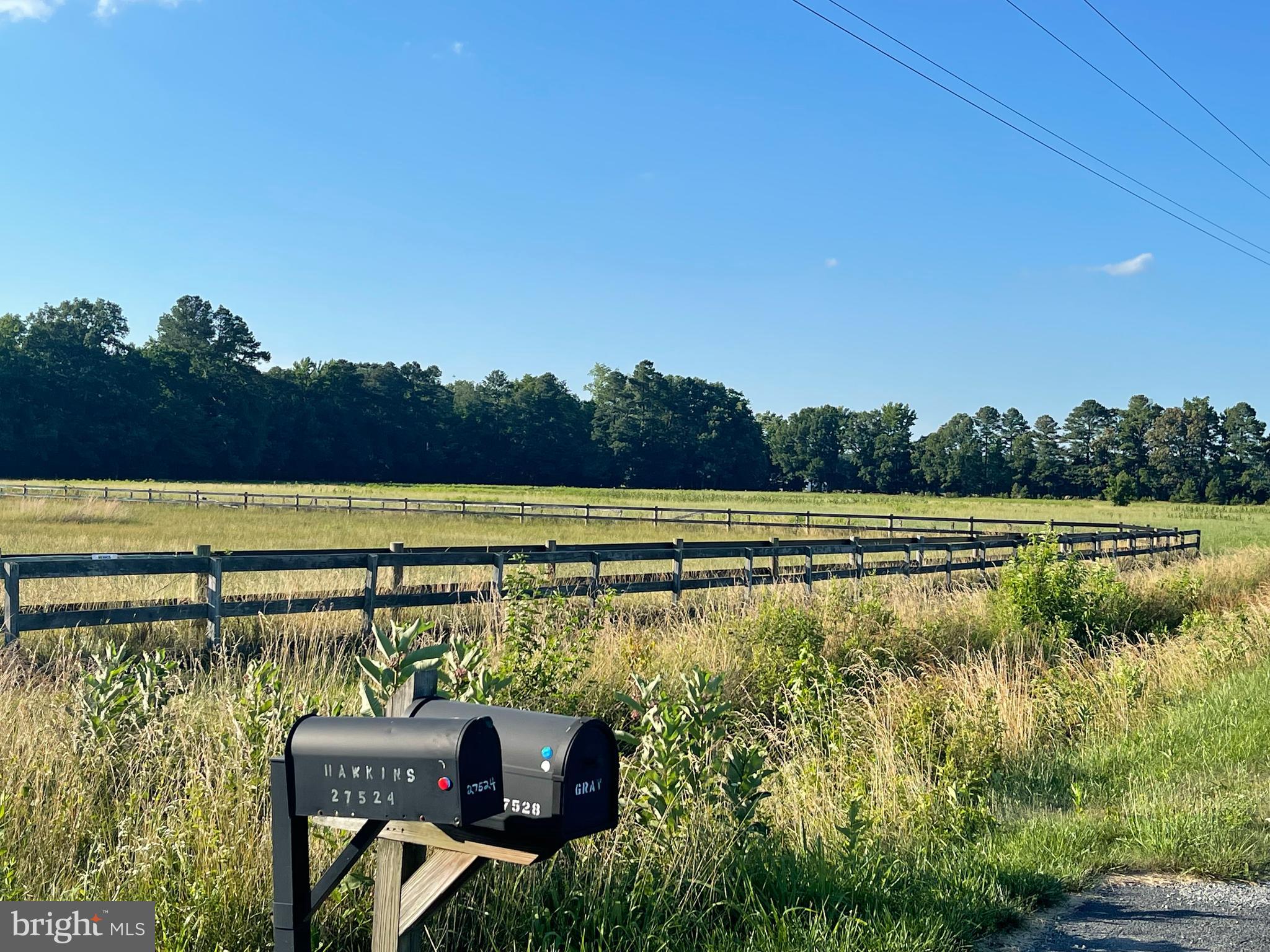27528 Substation Road Denton, MD 21629 - Photo 11 of 21 PASTURE