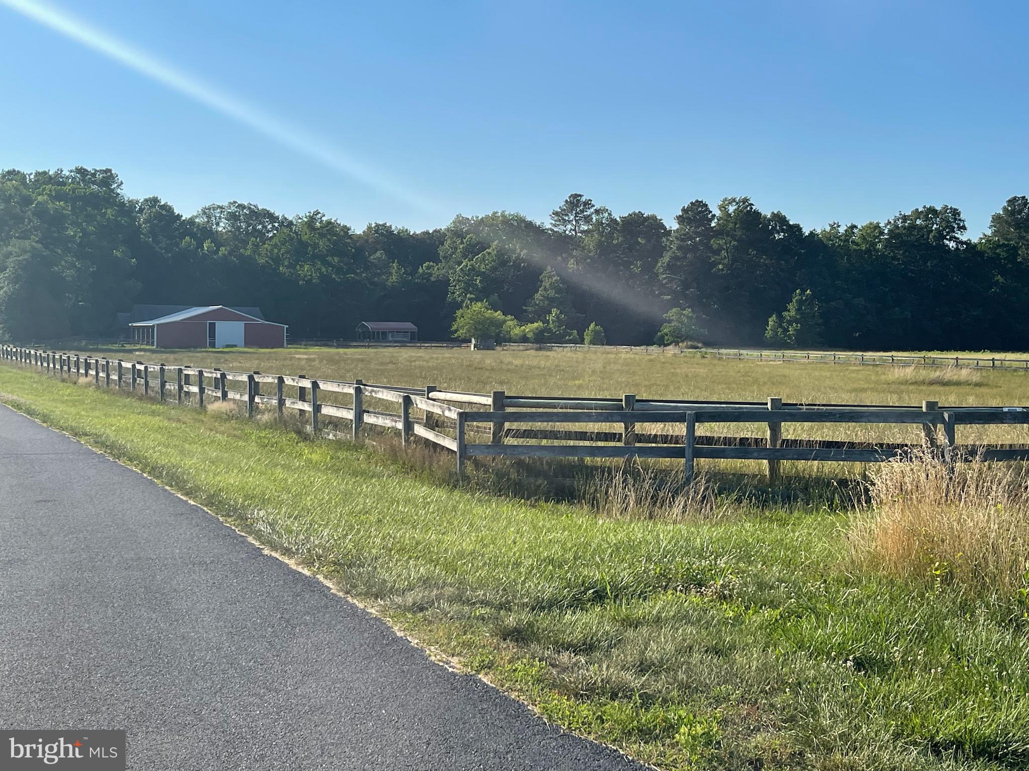 27528 Substation Road Denton, MD 21629 - Photo 12 of 21 PASTURE