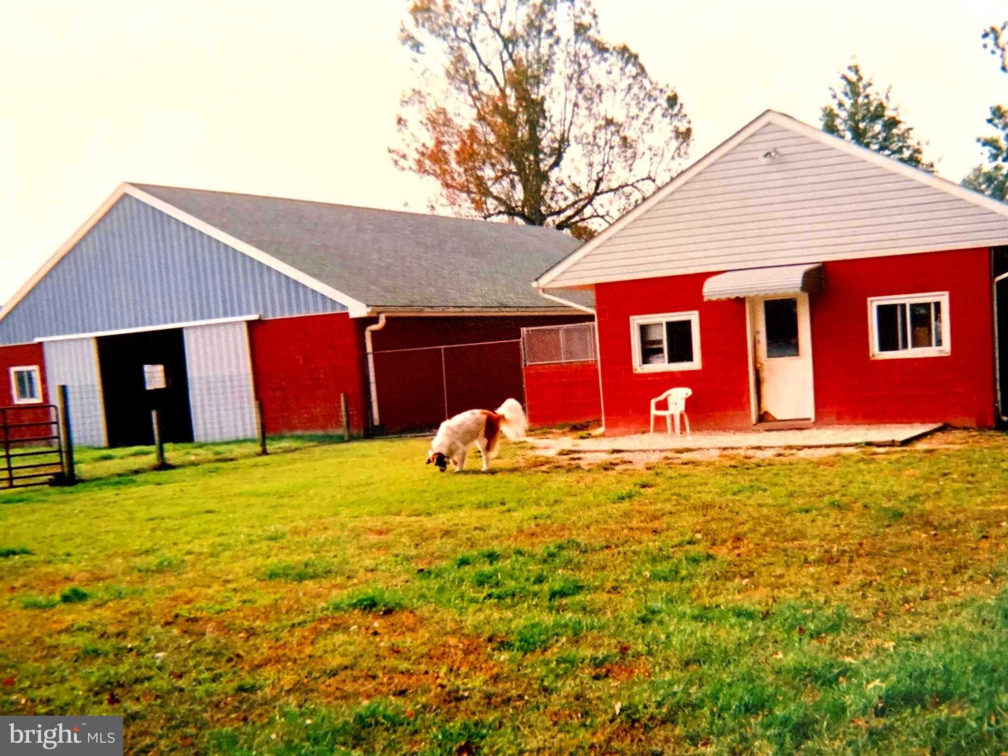 27528 Substation Road Denton, MD 21629 - Photo 17 of 21 EXTERIOR BACK OF KENNEL AND BARN