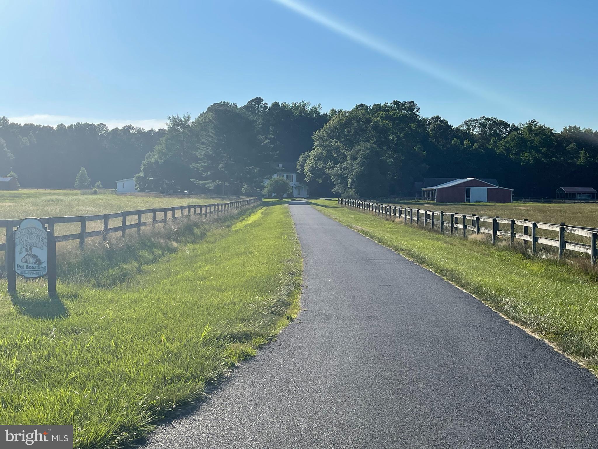 27528 Substation Road Denton, MD 21629 - Photo 10 of 21 LONG DRIVEWAY TO YOUR NEW HOME