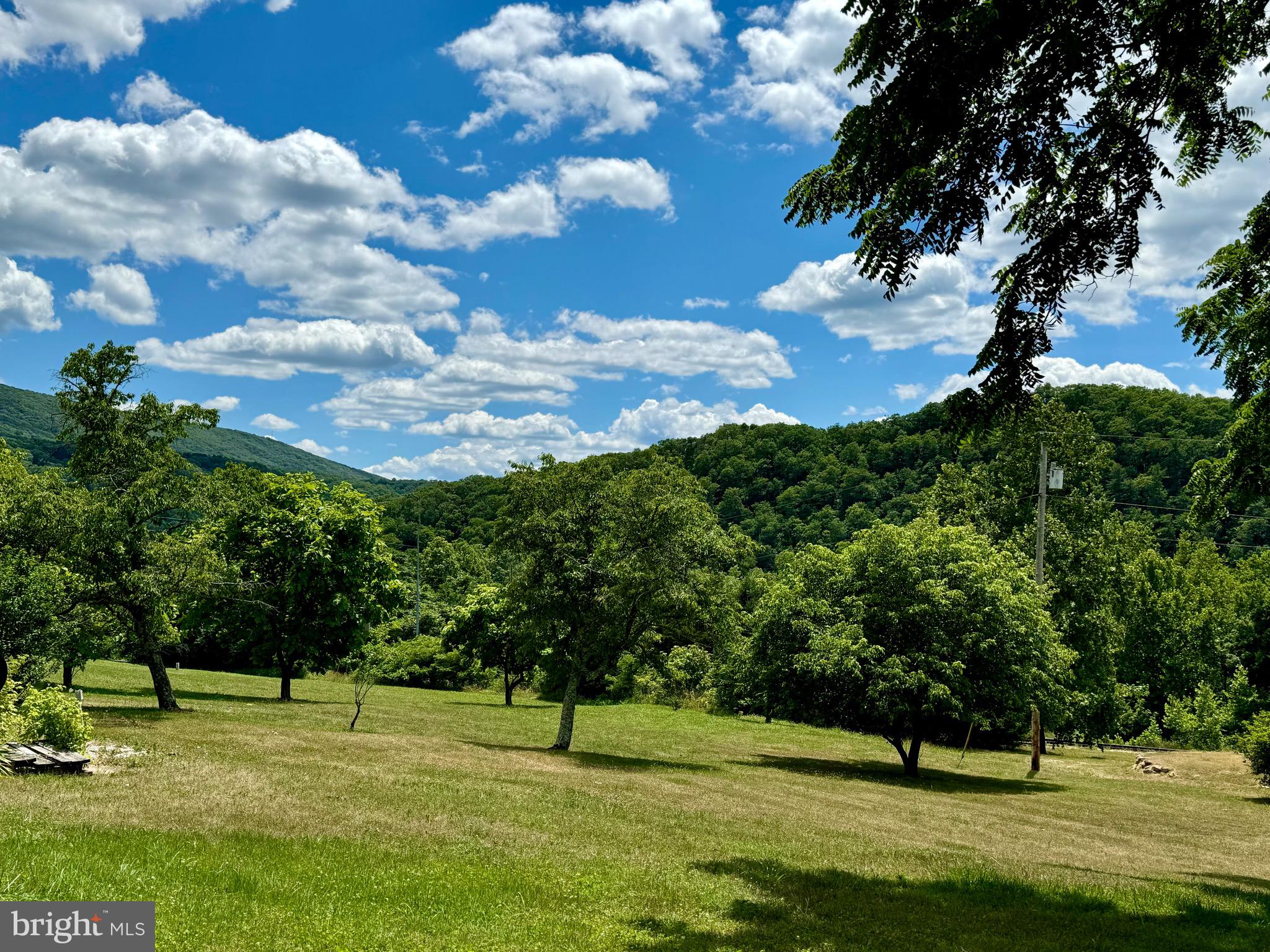 3815 Orleans Road Great Cacapon, WV 25422 - Photo 4 of 70