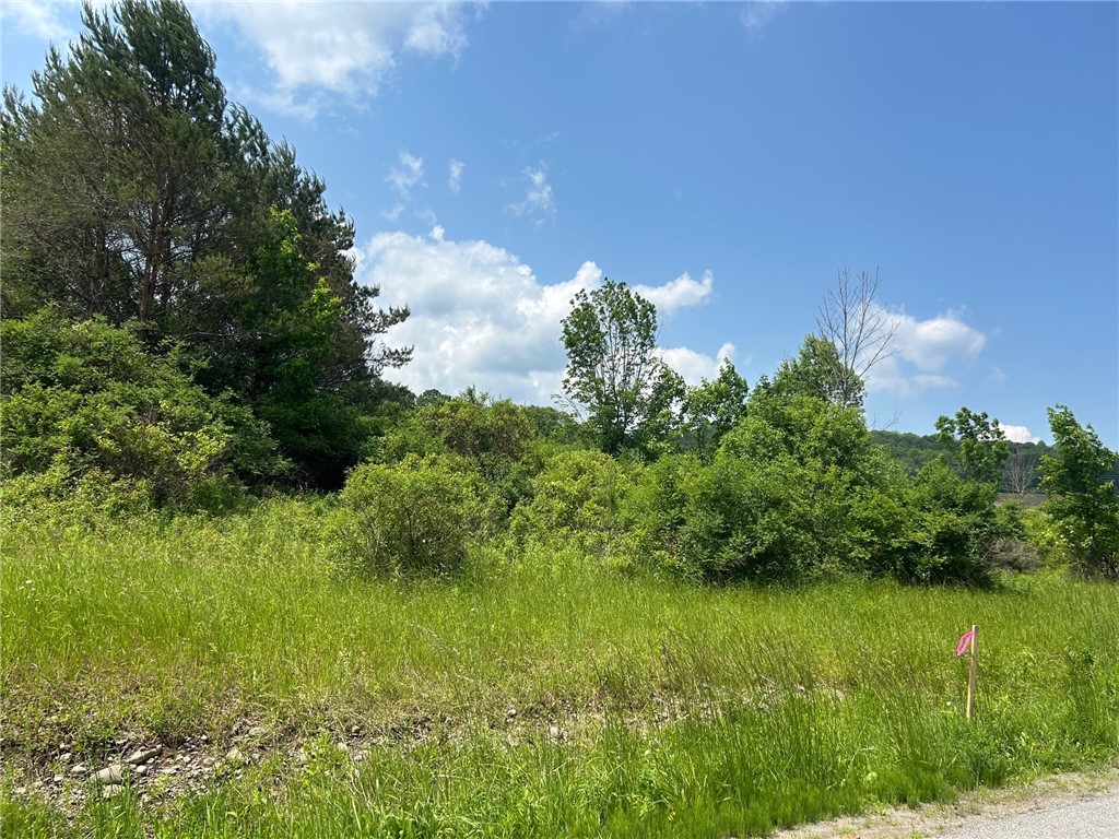 0 Clark Rd Extension Almond, NY 14804 - Photo 13 of 27