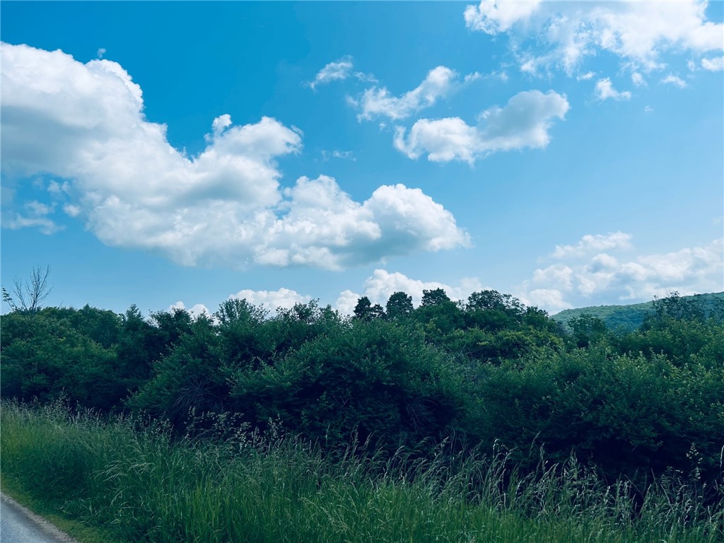 0 Clark Rd Extension Almond, NY 14804 - Photo 7 of 27