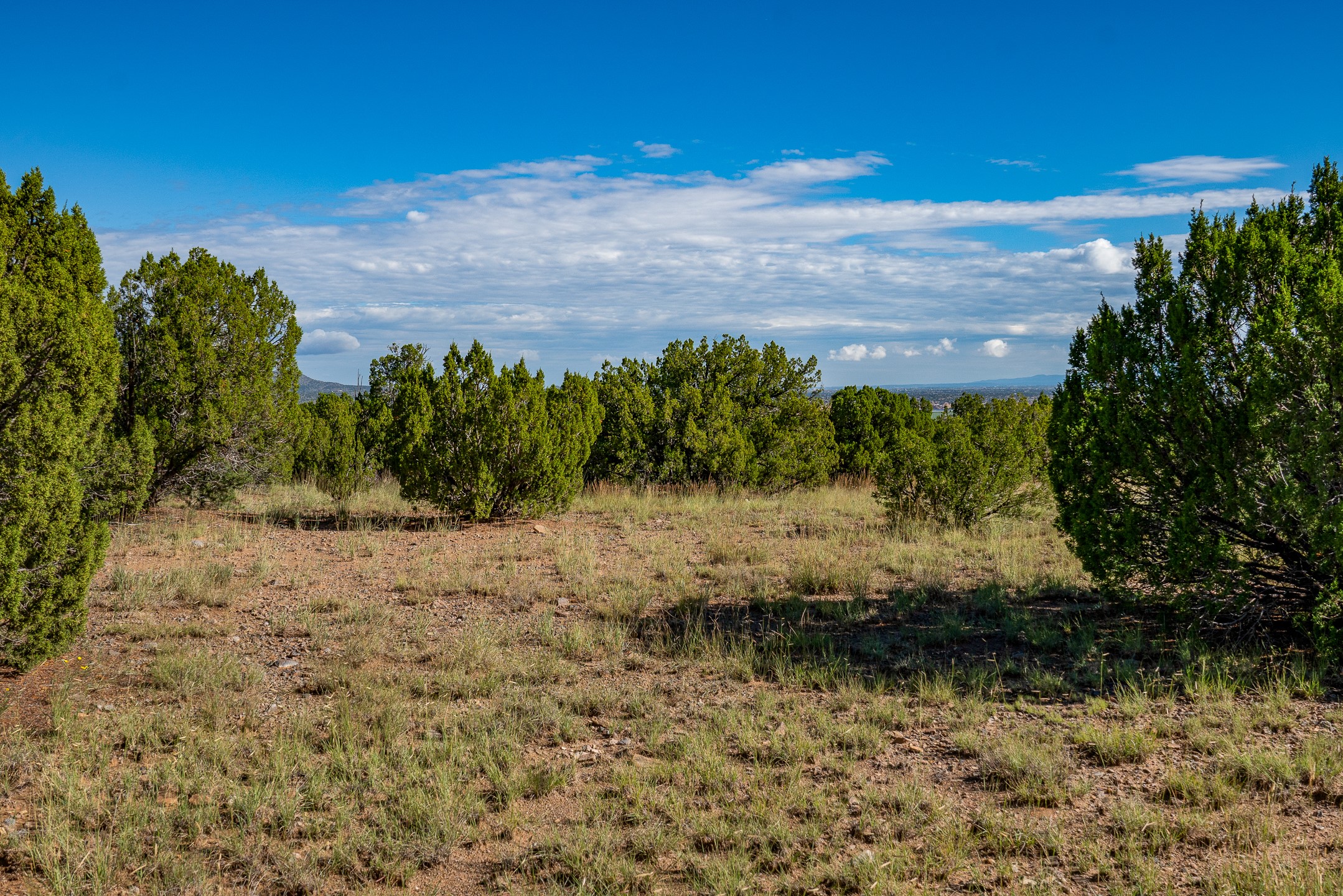 95 Grenfell Ranch Road Cerrillos, NM 87010 - Photo 29 of 47