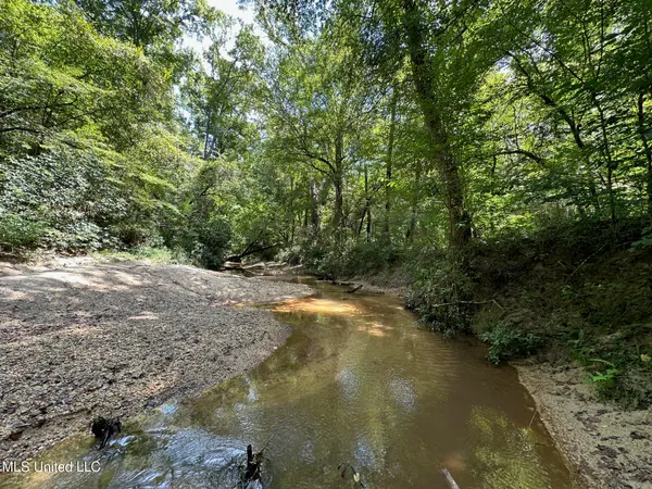 $200,000 | 0 Railroad Lane, Pinola, MS 39149