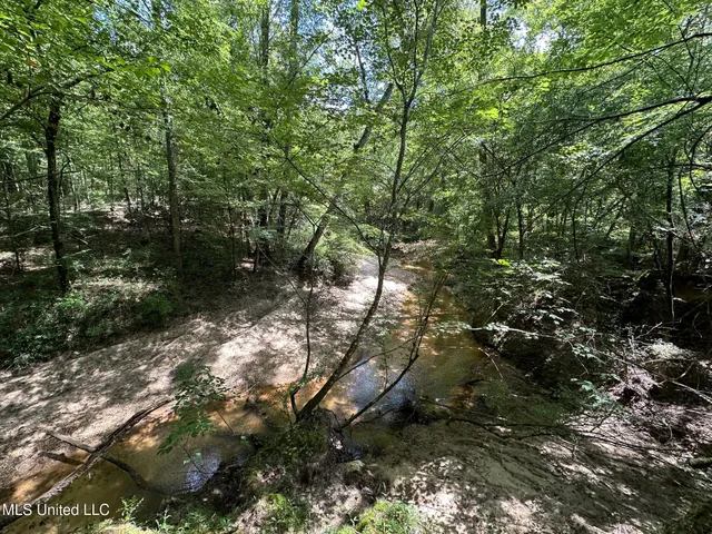 $200,000 | 0 Railroad Lane, Pinola, MS 39149