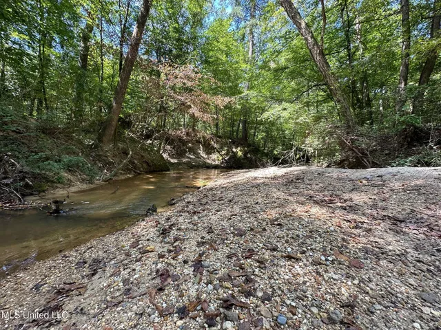 $200,000 | 0 Railroad Lane, Pinola, MS 39149