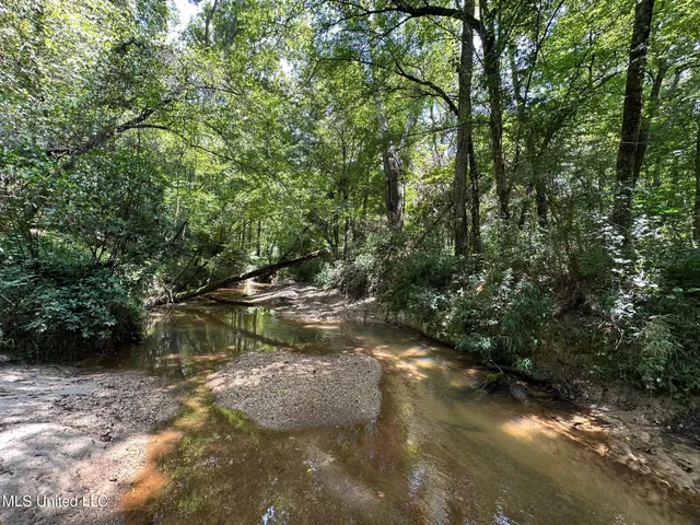 $200,000 | 0 Railroad Lane, Pinola, MS 39149