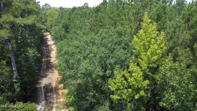 $200,000 | 0 Railroad Lane, Pinola, MS 39149