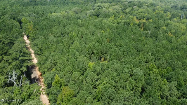 $200,000 | 0 Railroad Lane, Pinola, MS 39149