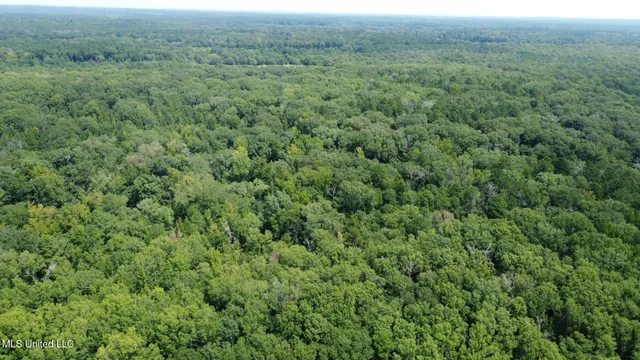 $200,000 | 0 Railroad Lane, Pinola, MS 39149