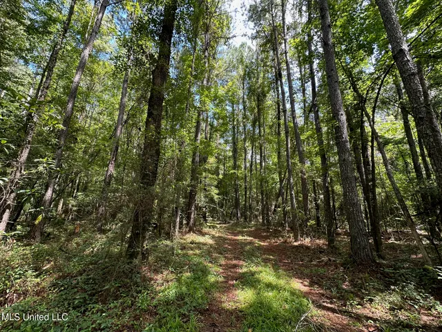 $200,000 | 0 Railroad Lane, Pinola, MS 39149