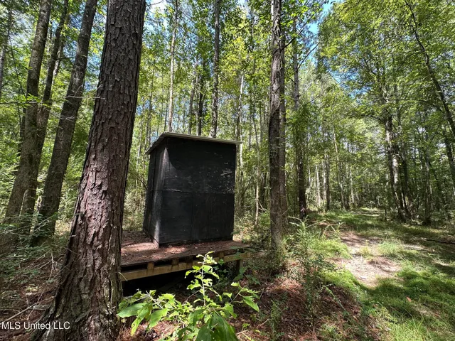 $200,000 | 0 Railroad Lane, Pinola, MS 39149