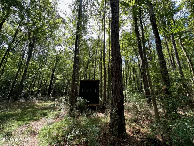 $200,000 | 0 Railroad Lane, Pinola, MS 39149
