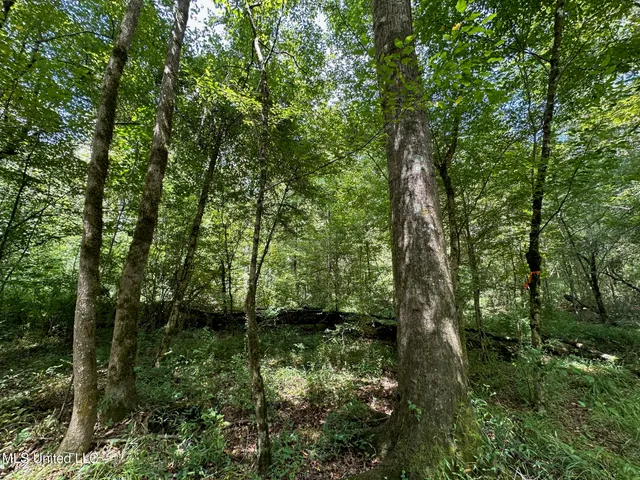 $200,000 | 0 Railroad Lane, Pinola, MS 39149