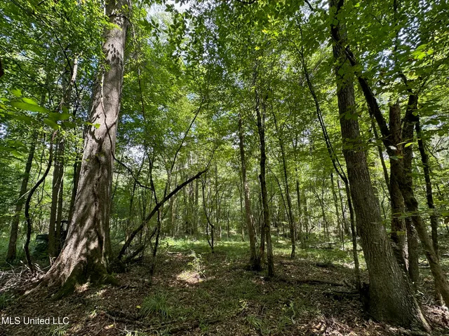 $200,000 | 0 Railroad Lane, Pinola, MS 39149