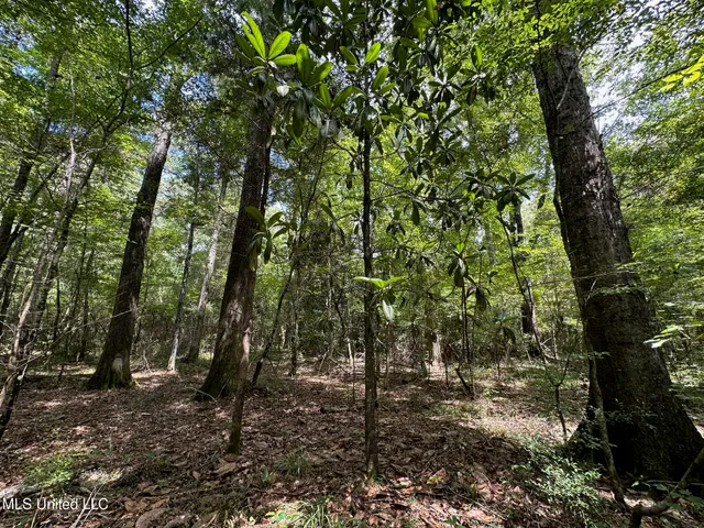 $200,000 | 0 Railroad Lane, Pinola, MS 39149