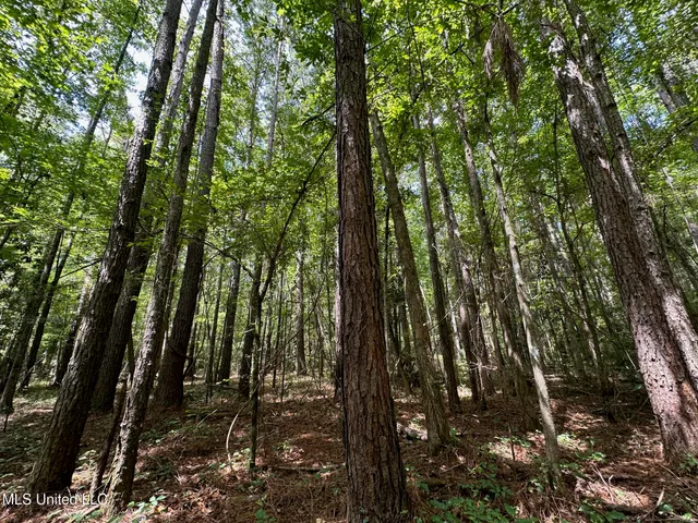 $200,000 | 0 Railroad Lane, Pinola, MS 39149