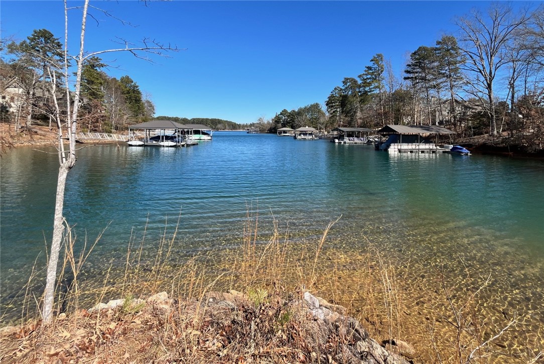 412 Walking Fern Way Seneca, SC 29672 - Photo 38 of 45 Clear waters meet serene landscapes, creating a picturesque waterfront view.
