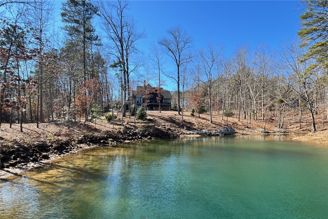 412 Walking Fern Way Seneca, SC 29672 - Photo 39 of 45