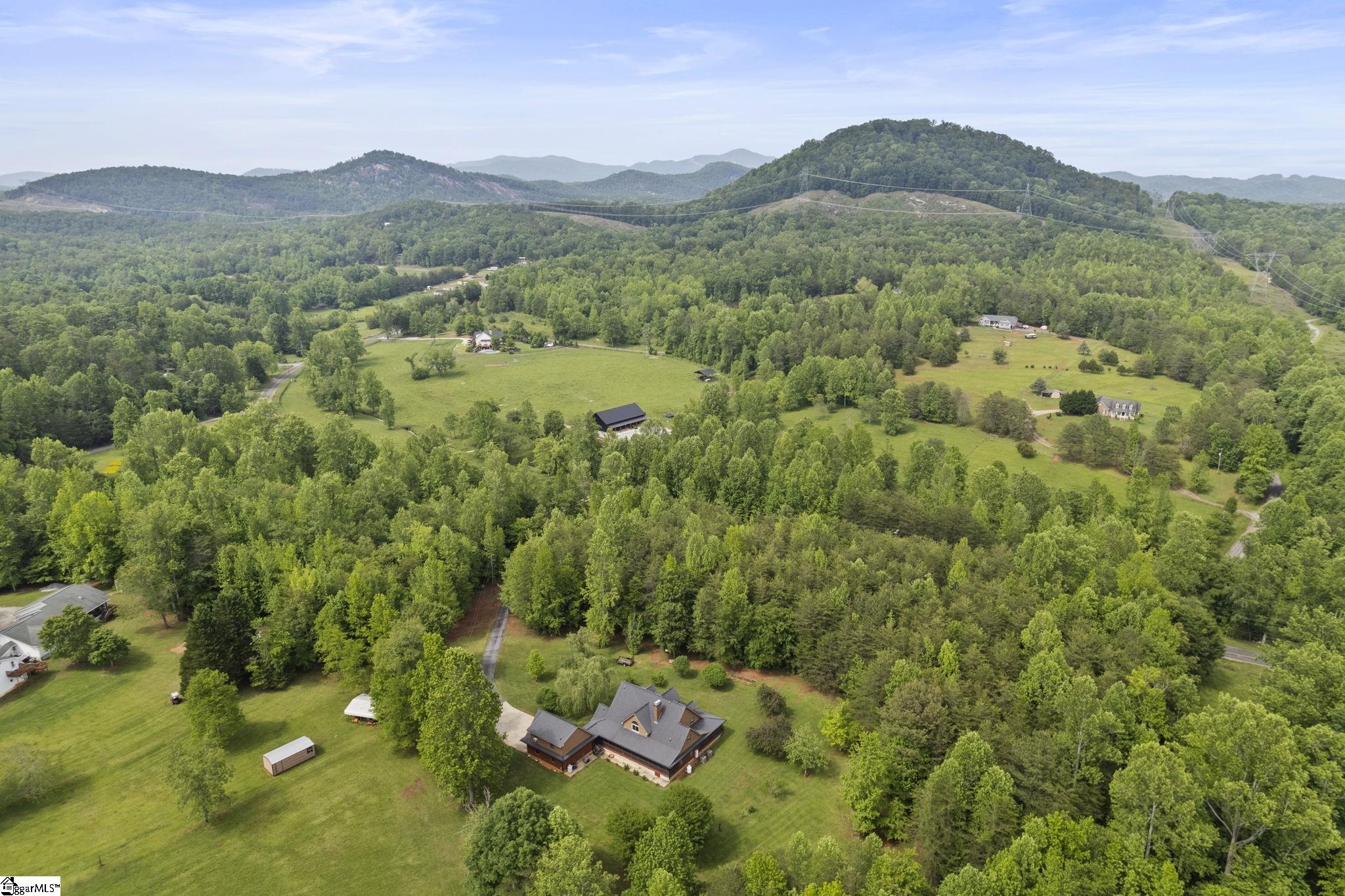 889 9 Times Road Pickens, SC 29671 - Photo 3 of 43