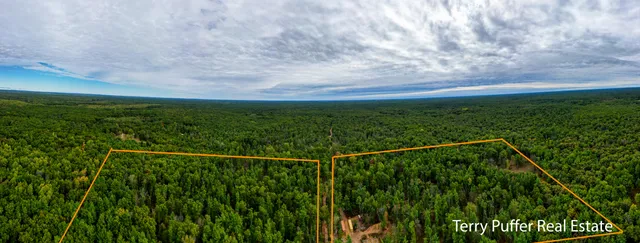 $299,999 | 11509 Blue Lake Road, Holton, MI 49425