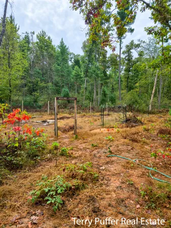 $289,999 | 11509 Blue Lake Road, Holton, MI 49425