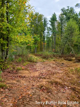 $289,999 | 11509 Blue Lake Road, Holton, MI 49425