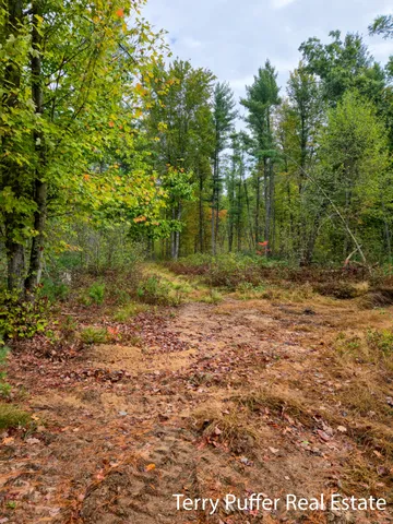 $299,999 | 11509 Blue Lake Road, Holton, MI 49425