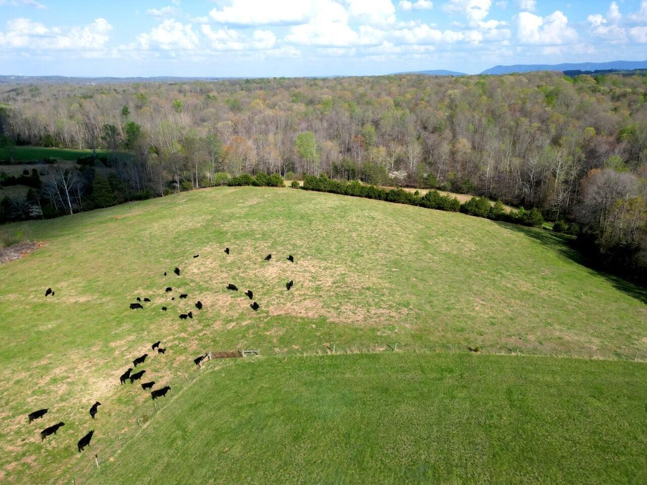 301 Scruggs Road Moneta, VA 24121 - Photo 3 of 16 DJI_0003